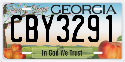 GA license plate CBY3291
