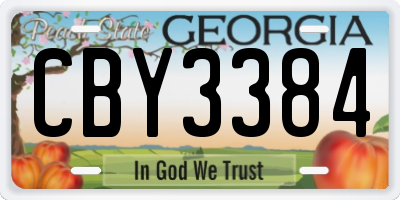 GA license plate CBY3384
