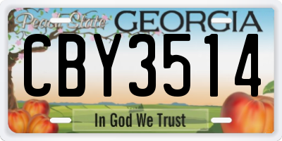 GA license plate CBY3514