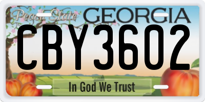 GA license plate CBY3602