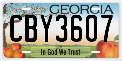 GA license plate CBY3607