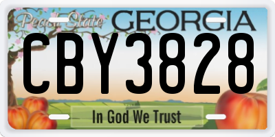 GA license plate CBY3828