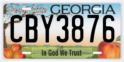 GA license plate CBY3876