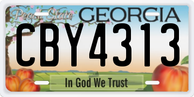GA license plate CBY4313