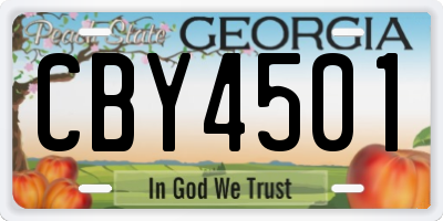 GA license plate CBY4501