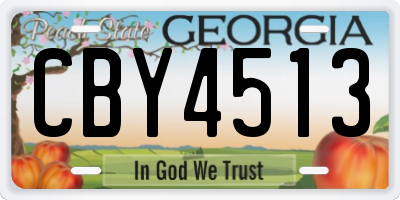 GA license plate CBY4513