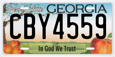 GA license plate CBY4559