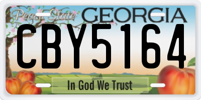 GA license plate CBY5164
