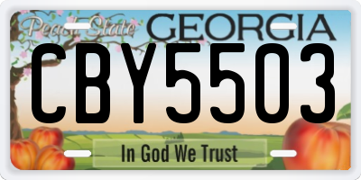 GA license plate CBY5503