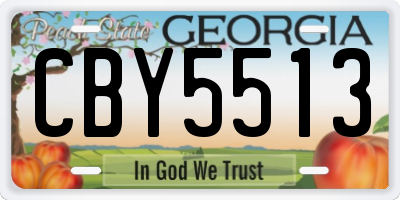 GA license plate CBY5513