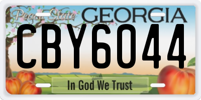 GA license plate CBY6044