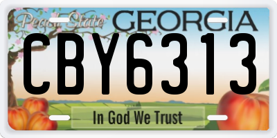 GA license plate CBY6313