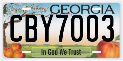 GA license plate CBY7003
