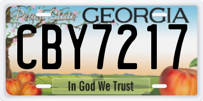 GA license plate CBY7217