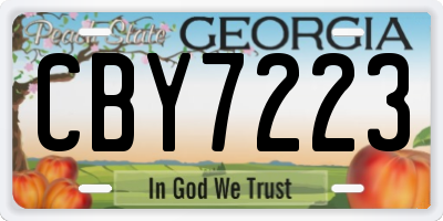 GA license plate CBY7223