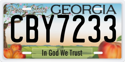 GA license plate CBY7233