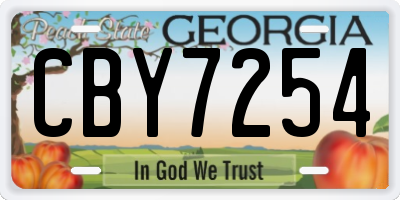 GA license plate CBY7254