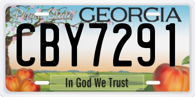 GA license plate CBY7291