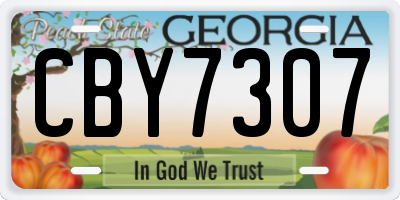GA license plate CBY7307