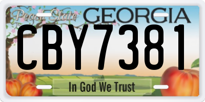GA license plate CBY7381