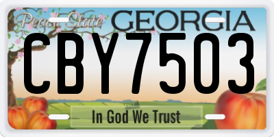 GA license plate CBY7503