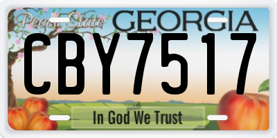 GA license plate CBY7517