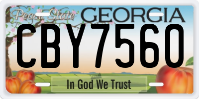 GA license plate CBY7560