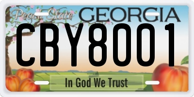 GA license plate CBY8001