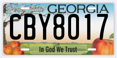 GA license plate CBY8017