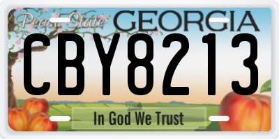 GA license plate CBY8213