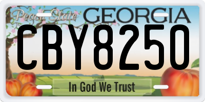 GA license plate CBY8250