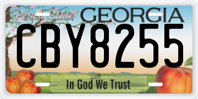 GA license plate CBY8255