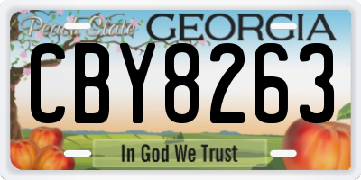 GA license plate CBY8263