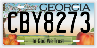 GA license plate CBY8273