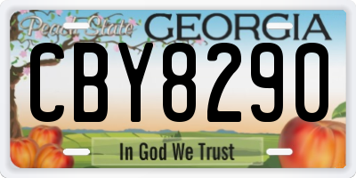 GA license plate CBY8290