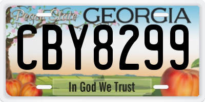 GA license plate CBY8299