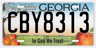 GA license plate CBY8313