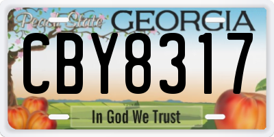 GA license plate CBY8317