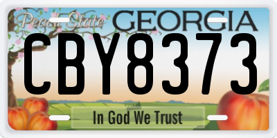 GA license plate CBY8373