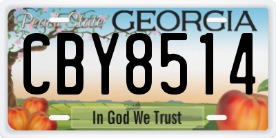 GA license plate CBY8514