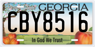 GA license plate CBY8516