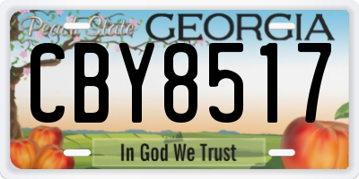 GA license plate CBY8517
