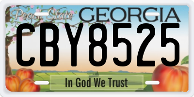 GA license plate CBY8525