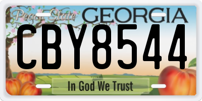 GA license plate CBY8544