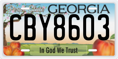 GA license plate CBY8603