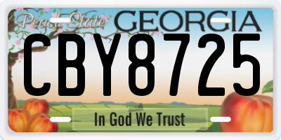 GA license plate CBY8725