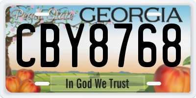 GA license plate CBY8768