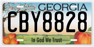 GA license plate CBY8828