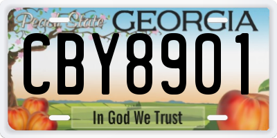 GA license plate CBY8901