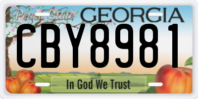 GA license plate CBY8981
